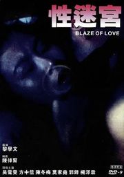 性迷宫 Blaze of love(中文字幕)_加入观看性交影片