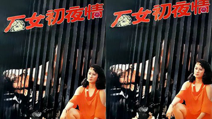 【香港】石女初夜情摩登女性 （1985）<script src=