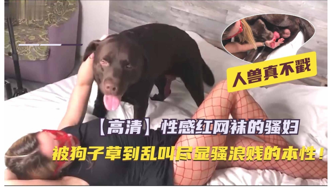 最新京都淫乱群P性爱趴实录多猛男轮操美乳小骚货前裹后怼淫乱叫床声不断各种姿势啪啪使劲操高清720P版