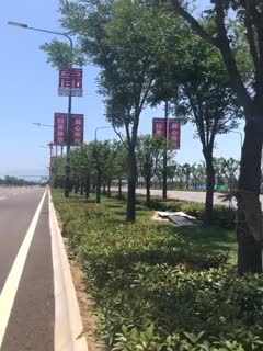 真够拼得超萌高颜值学生妹39℃高温下直接露脸脱光光在马路上跳舞-api